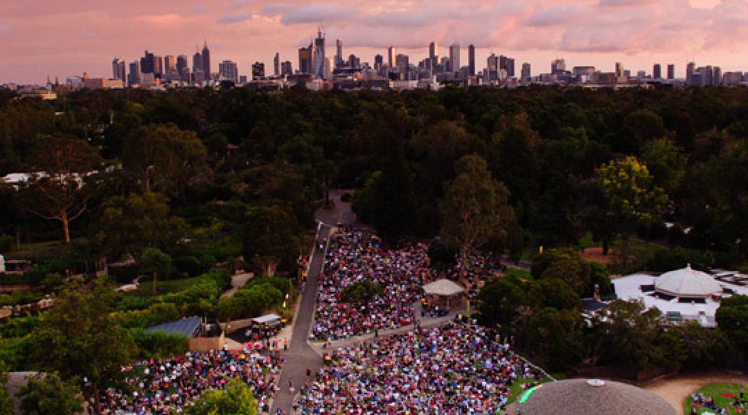zoo twilights